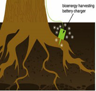 Bioenergy Harvester diagram